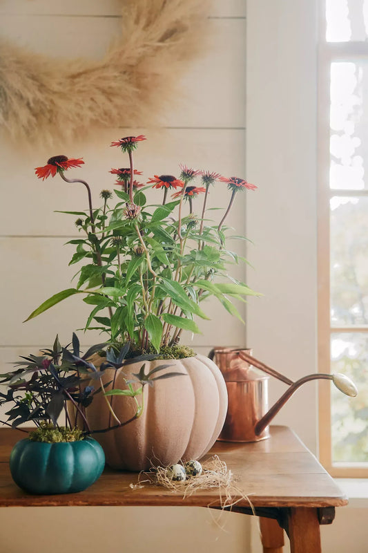 Ceramic Pumpkin Planter, Mini