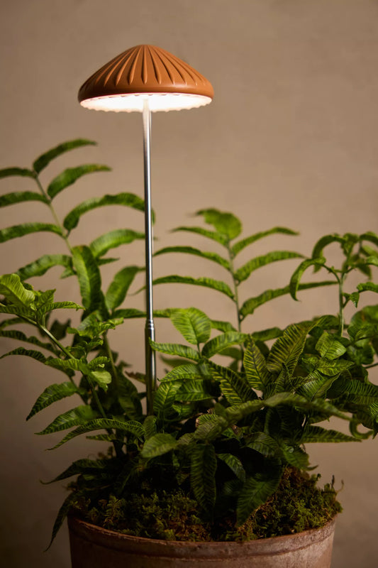Mushroom LED Grow Light