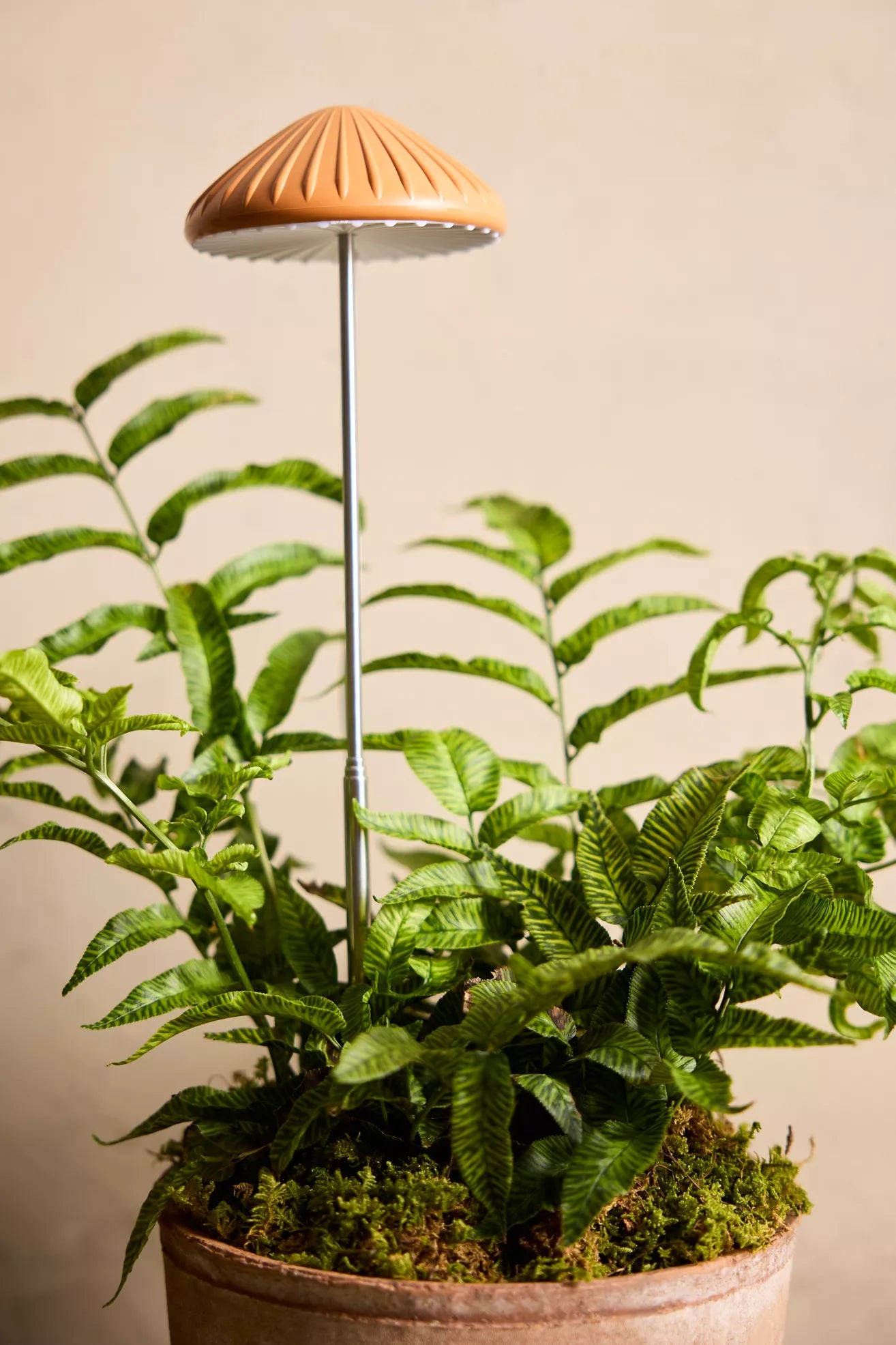 Mushroom LED Grow Light